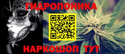прущие грибы Аргун