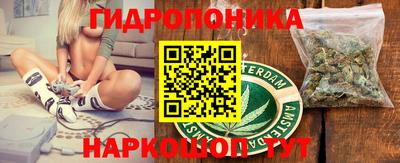 прущие грибы Аргун