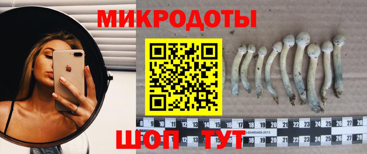 наркошоп  Вход с VPN  Псилоцибиновые грибы мицелий  Артём  Псилоцибиновые грибы Psilocybe 