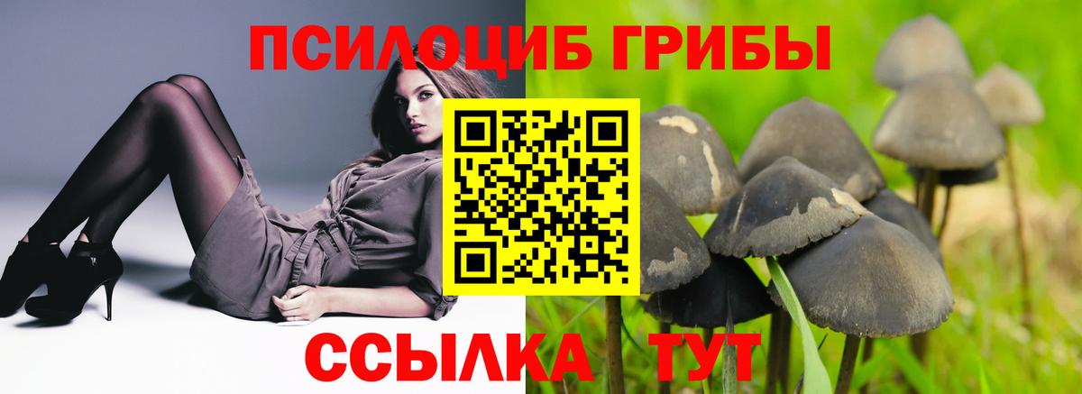 Псилоцибиновые грибы ЛСД Артём